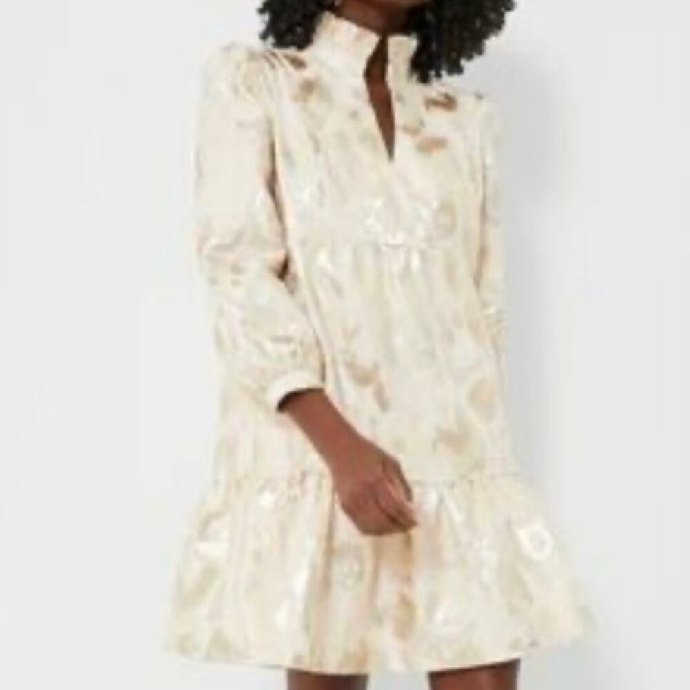 TUCKERNUCK EVERYTHING Must GO Champagne Fil Coupe Palmerston Dress - Picture 3 of 7
